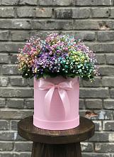 Цветочная композиция из Гипсофила и Розы в шляпной коробке в Пшехской
