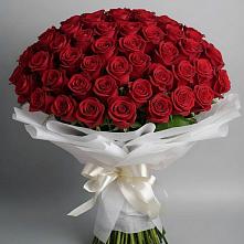 Букет 101 Красная роза Блэк Мэджик в Пшехской