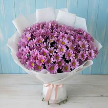 Букет цветов из:  Хризантемы #REPLACE_PRED# Пшехской