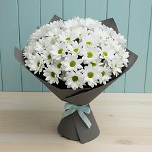 Букет цветов из:  Хризантемы в Пшехской