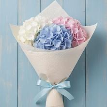 Букет цветов из:  Гортензия в Пшехской