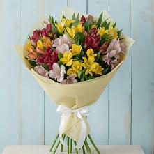 Букет цветов из:  Альстромерии в Пшехской