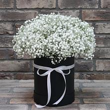 Цветочная композиция из Гипсофила в шляпной коробке в Пшехской
