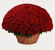 Премиум букет из: Розы в Пшехской