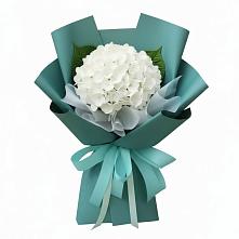 Букет цветов из:  Гортензия #REPLACE_PRED# Пшехской